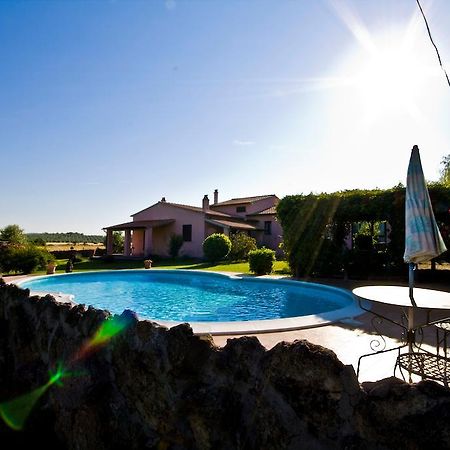 Agriturismo Il Grillo Parlante 皮蒂利亚诺 外观 照片