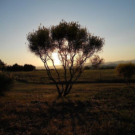 Agriturismo Il Grillo Parlante 皮蒂利亚诺 外观 照片