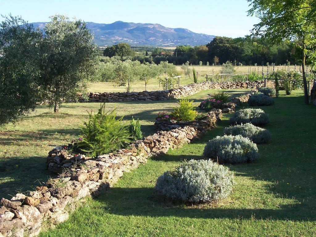 Agriturismo Il Grillo Parlante 皮蒂利亚诺 外观 照片