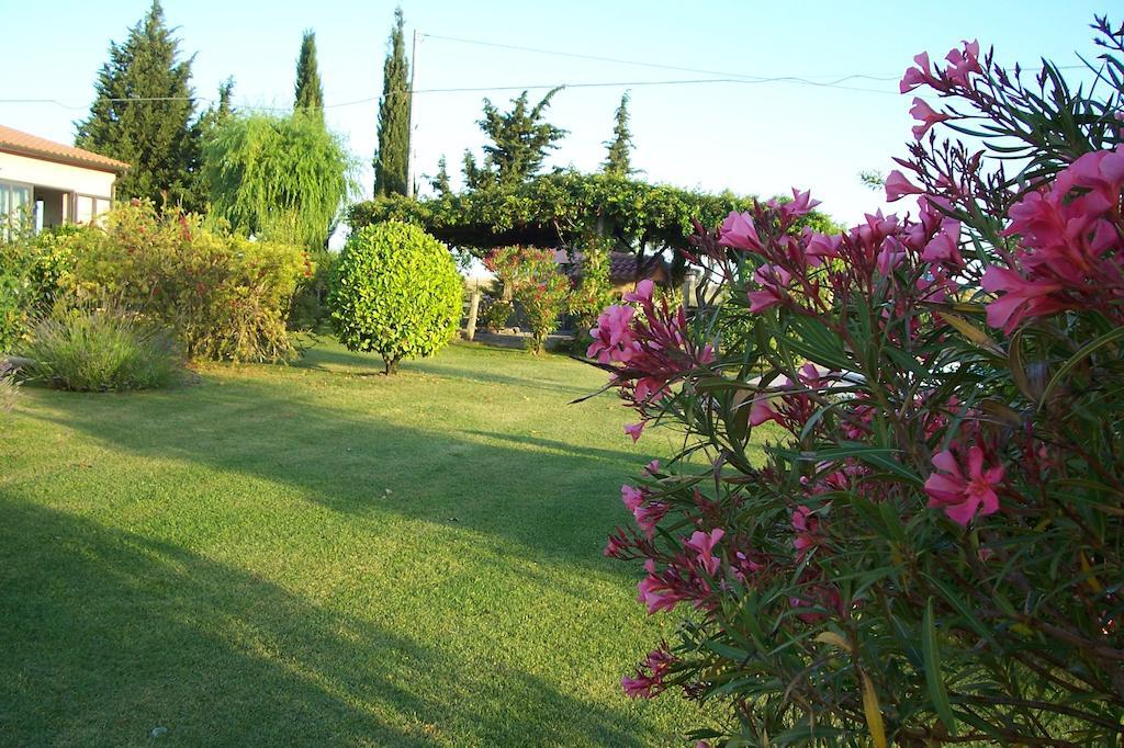 Agriturismo Il Grillo Parlante 皮蒂利亚诺 外观 照片