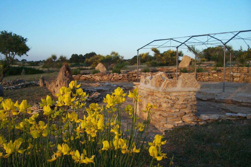 Agriturismo Il Grillo Parlante 皮蒂利亚诺 外观 照片