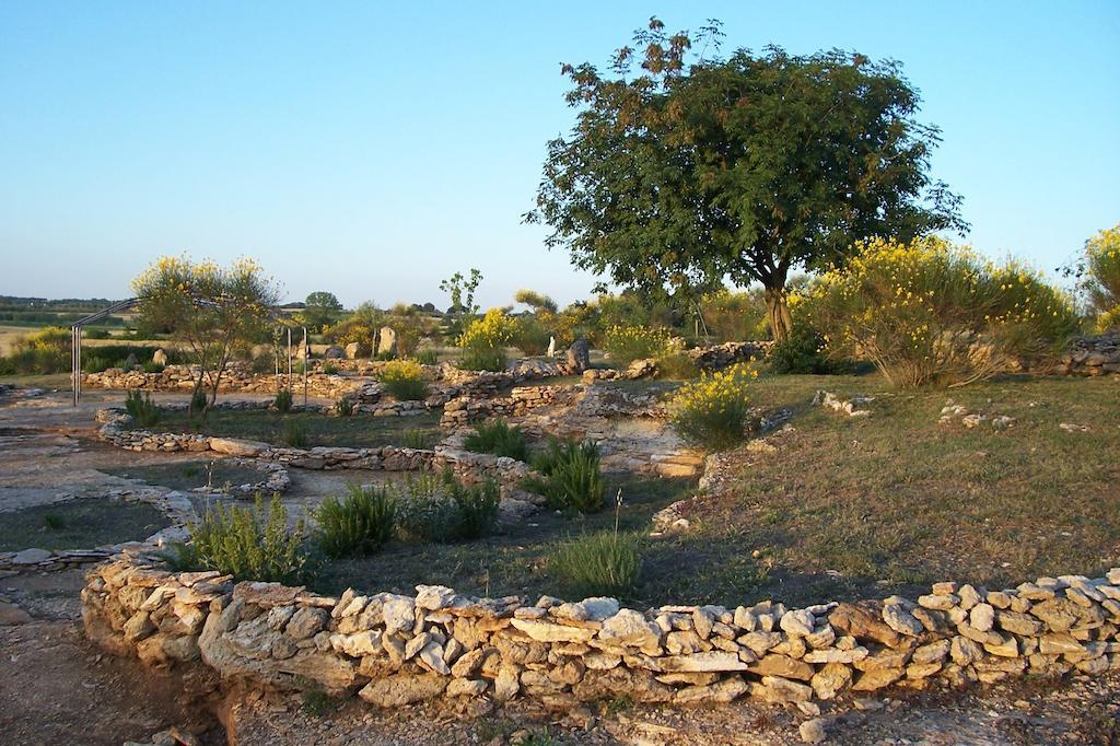 Agriturismo Il Grillo Parlante 皮蒂利亚诺 外观 照片