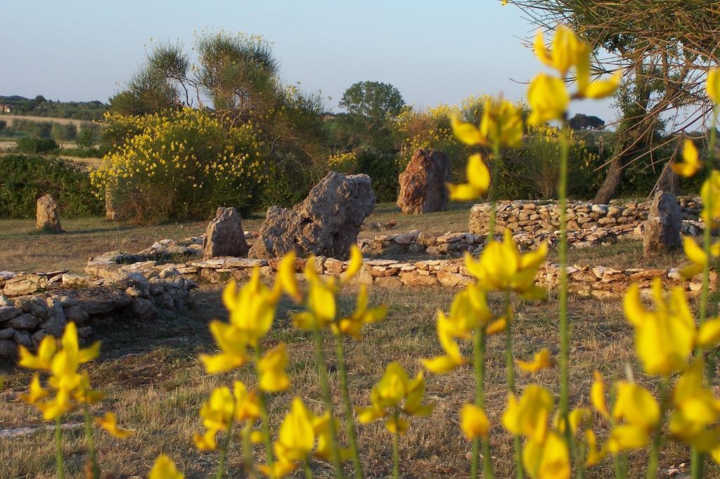 Agriturismo Il Grillo Parlante 皮蒂利亚诺 外观 照片