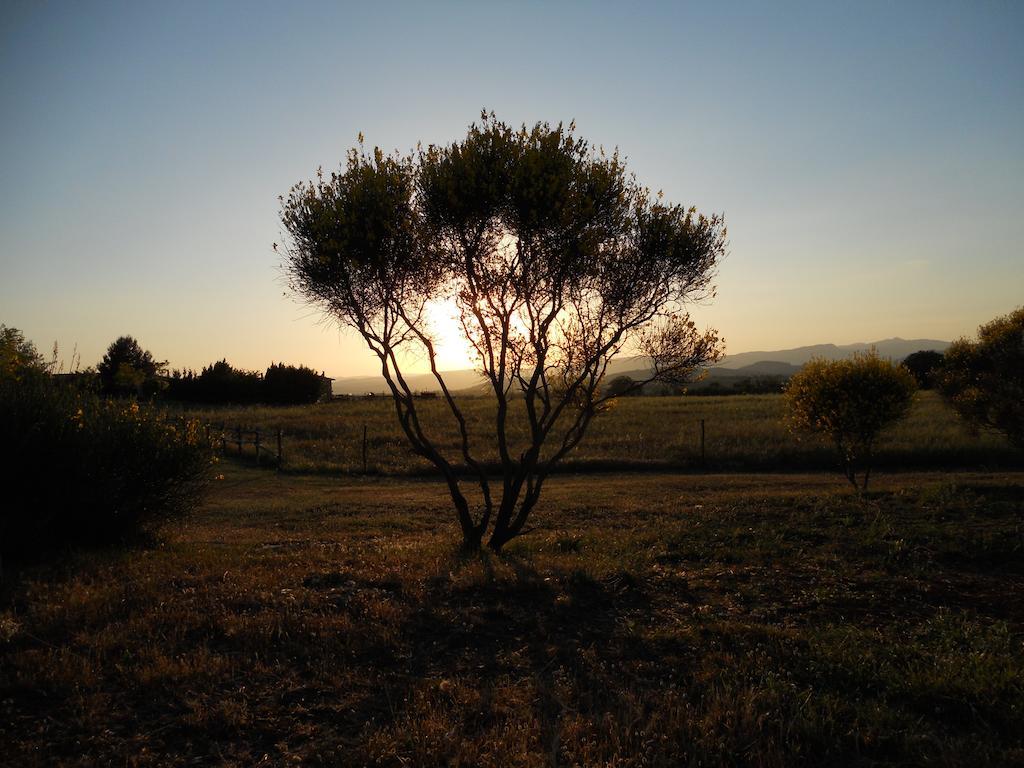 Agriturismo Il Grillo Parlante 皮蒂利亚诺 外观 照片