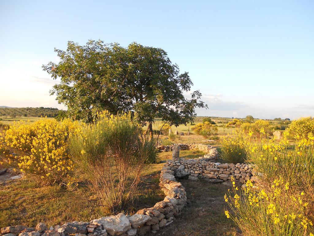 Agriturismo Il Grillo Parlante 皮蒂利亚诺 外观 照片