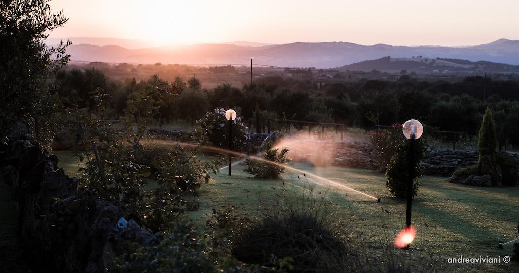 Agriturismo Il Grillo Parlante 皮蒂利亚诺 外观 照片