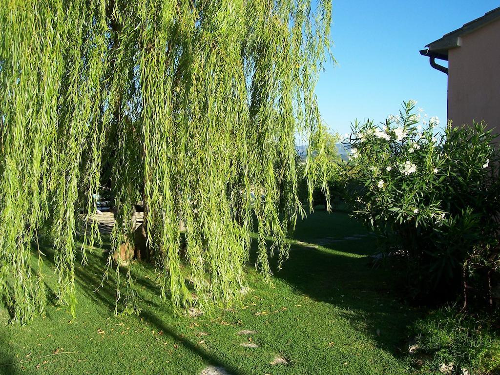 Agriturismo Il Grillo Parlante 皮蒂利亚诺 外观 照片