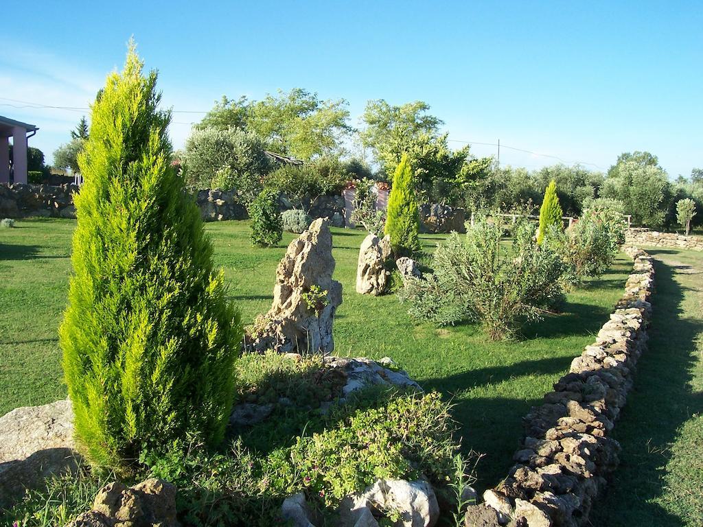 Agriturismo Il Grillo Parlante 皮蒂利亚诺 外观 照片